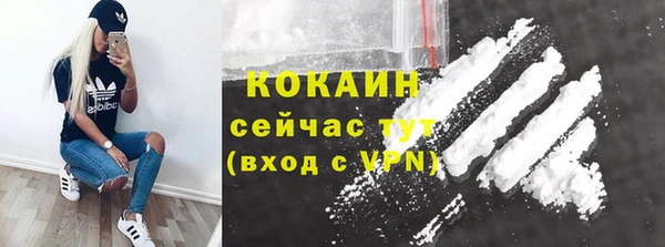 Альфа ПВП Белокуриха