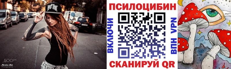 Галлюциногенные грибы Psilocybine cubensis  Купить где  Спасск-Дальний 